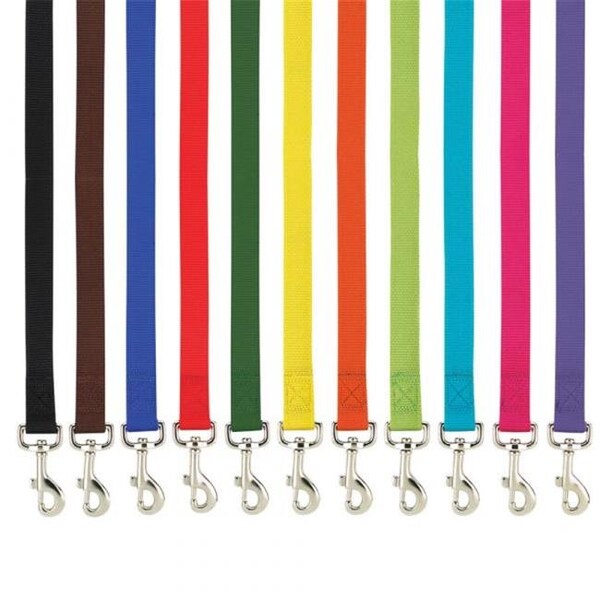 Casual Canine Casual Canine ZM2392 64 69 6 ft. x 0.62 in. Basic Nylon Dog Leash Lead; Orange - ZM2392 64 69