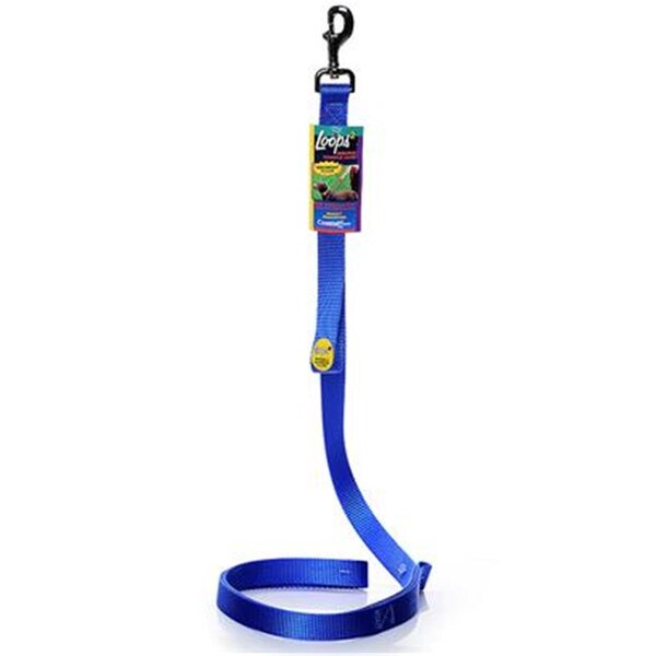 Coastal Pet 1X6 Loops2 Lead W-Hndl Blue - 764481