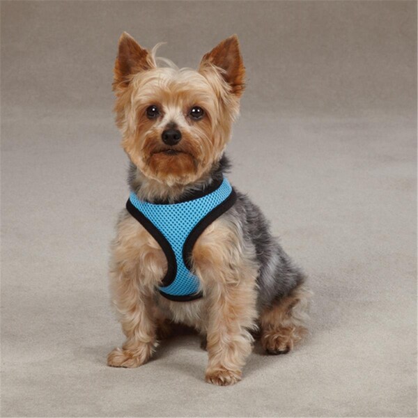 Casual Canine CC Pastel Mesh Harness Xlg Blue - ZA005 24 19