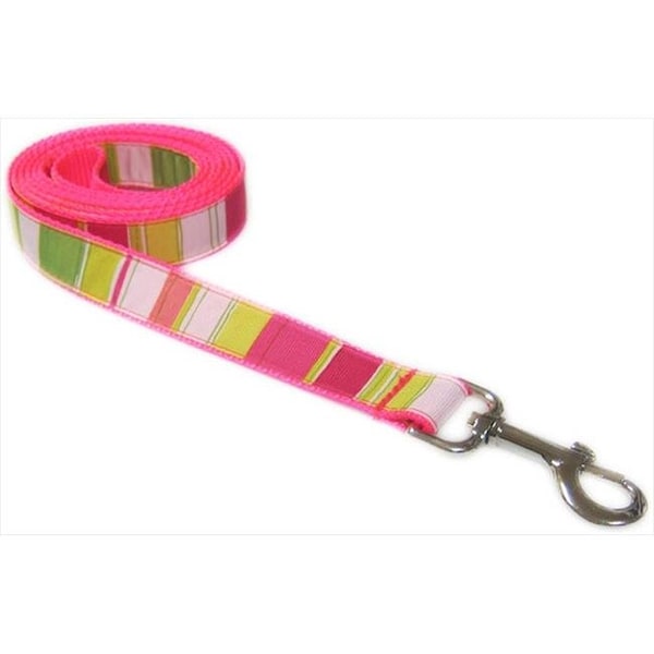 Fly Free Zone 6 ft. Multi Stripe Dog Leash; Neon Pink - Large - FL511920