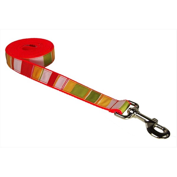 Sassy Dog Wear STRIPE-ORANGE-MULTI4-L 6 ft. Multi Stripe Dog Leash- Orange - Large - STRIPE-ORANGE/MULTI4-L