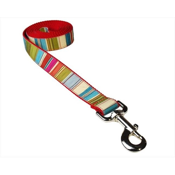 Sassy Dog Wear Sassy Dog Wear STRIPE-RED-MULTI3-L 6 ft. Multi Stripe Dog Leash; Red - Medium - STRIPE-RED/MULTI3-L