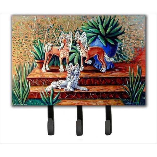 Carolines Treasures Carolines Treasures 7505TH68 Chinese Crested Leash Holder Or Key Hook - 7505TH68