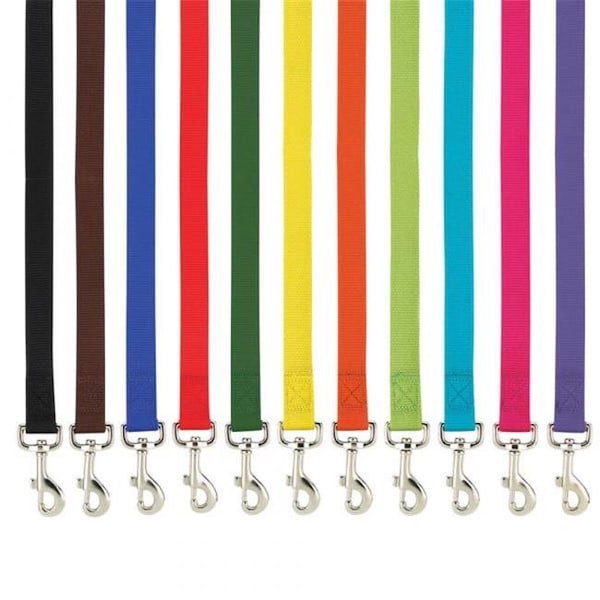 Casual Canine Casual Canine ZM2392 44 30 4 ft. x 0.62 in. Basic Nylon Dog Leash Lead; Black - ZM2392 44 30
