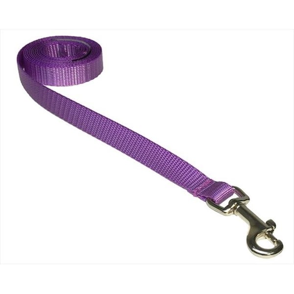 Fly Free Zone 4 ft. Nylon Webbing Dog Leash; Purple - Extra Small - FL124455