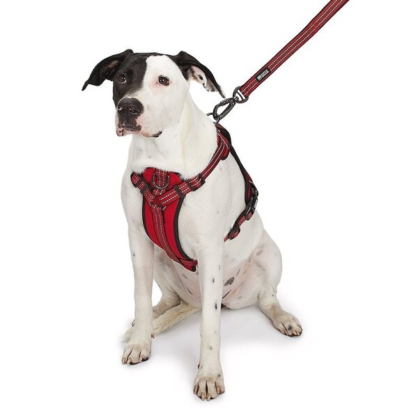 Guardian Gear Reflective Harness, 18 to 30 in, Fastening Method: O-Ring Strap, Nylon Harness, True Red - ZA0031 16 83