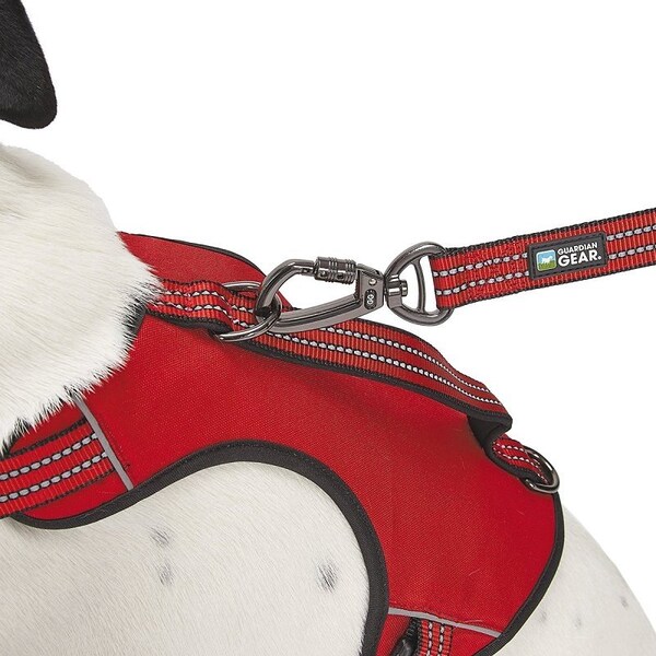Guardian Gear Reflective Harness, 18 to 30 in, Fastening Method: O-Ring Strap, Nylon Harness, True Red - ZA0031 16 83