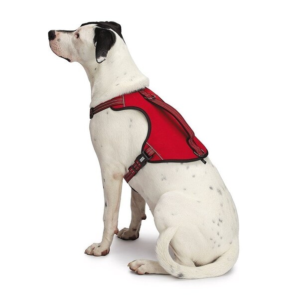 Guardian Gear Reflective Harness, 24 to 35 in, Fastening Method: O-Ring Strap, Nylon Harness, True Red - ZA0031 20 83
