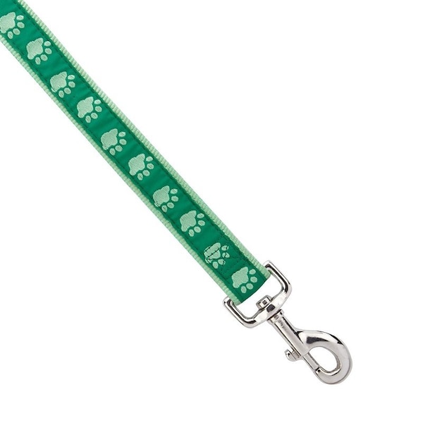 Casual Canine Two-Tone Pawprint Dog Lead, 6 ft L, 1 in W, Nylon Line, Green, Fastening Method: Swivel Clip - ZA8861 66 43