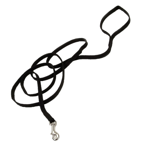 Coastal Pet Sunburst Nylon Leash RED - 2534-RE