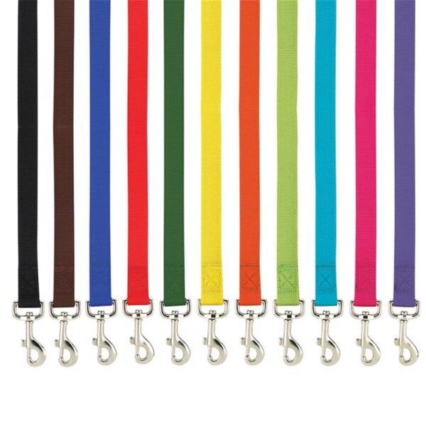 Casual Canine 6 ft. x 0.62 in. Basic Nylon Dog Leash Lead, Dark Blue - ZM2392 64 57