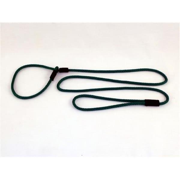 Soft Lines Soft Lines P20406EMERALDGREEN Small Dog Slip Leash 0.25 In. Diameter By 6 Ft. - Emerald Green - P20406EMERALDGREEN
