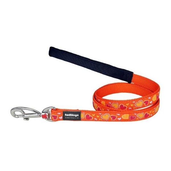 Red Dingo Red Dingo L6-BZ-OR-ME Dog Lead Design Breezy Love Orange; Medium - L6-BZ-OR-ME