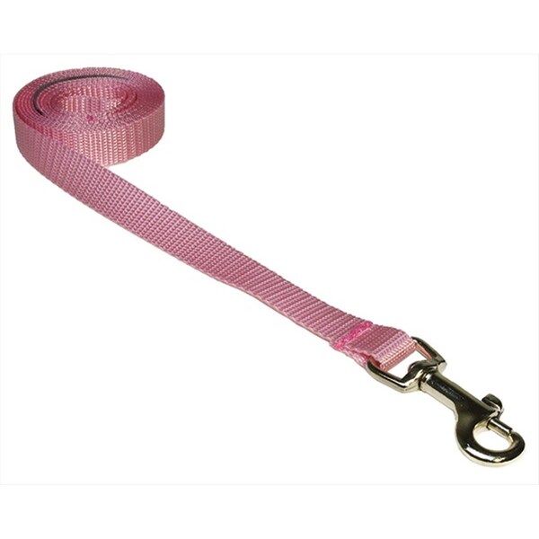 Sassy Dog Wear 4 ft. Nylon Webbing Dog Leash- Pink - Extra Small - SOLID PINK XS-L