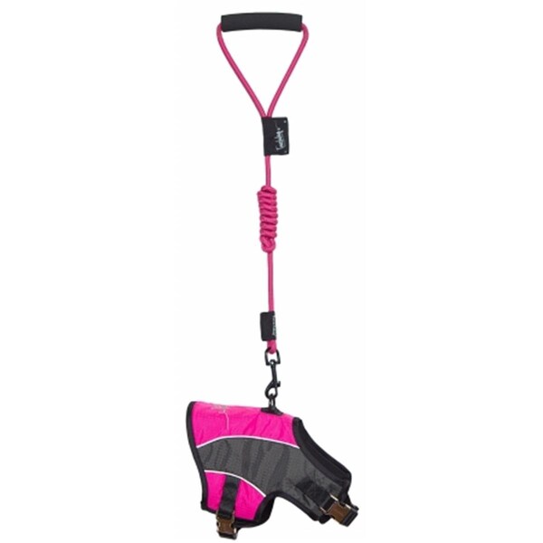 Petpurifiers Touchdog Reflective-Max 2-In-1 Premium Performance Adjustable Dog Harness And Leash, Pink - Small - PE1616521