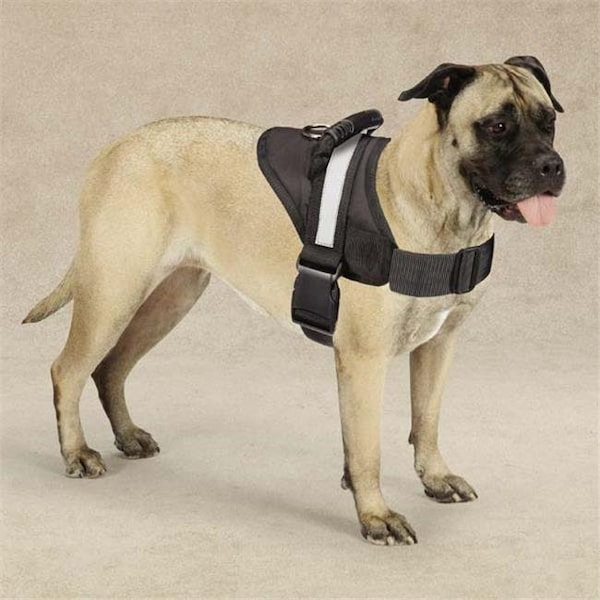 Guardian Survival Gear Guardian Gear ZA6223 14 17 Excursion Harness 15-19 In Black - ZA6223 14 17