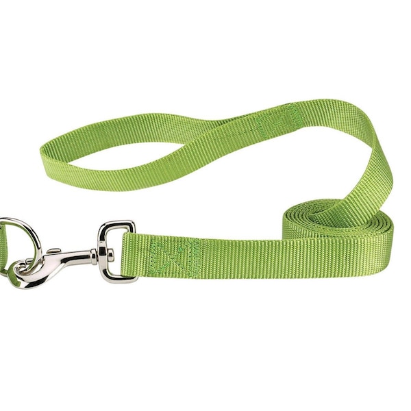Partyanimal 4 ft. x 0.62 in. Nylon Dog Leash Lead; Light Green - PA1666165