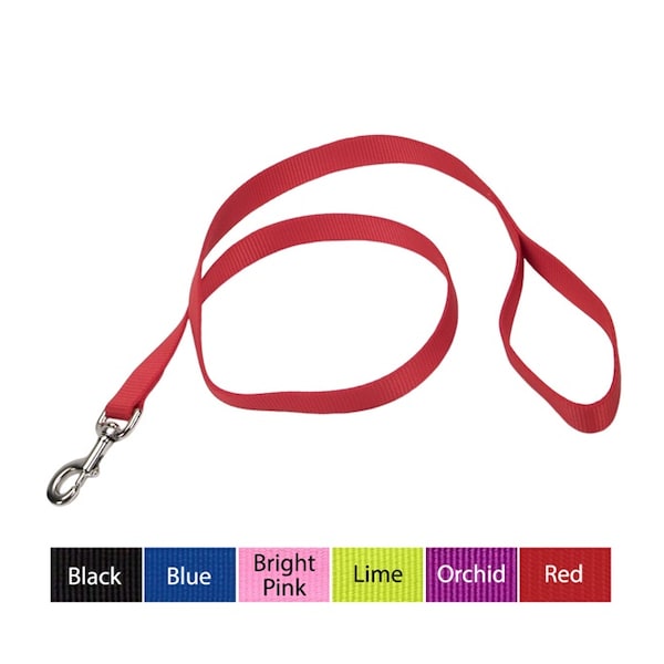 Coastal Pet Coastal Single-Ply Nylon Dog Leash 1 in LIME - 3810-LI