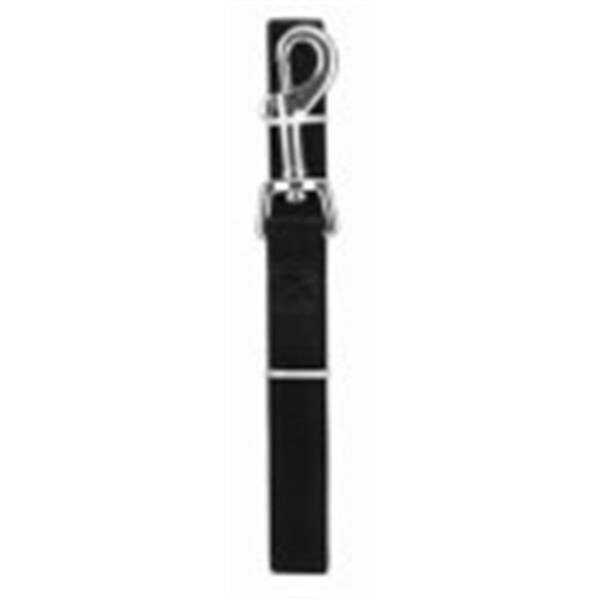 Peticare Products  1 x 6 in. Pet Expert Nylon Dog Leash, Black - PE134975