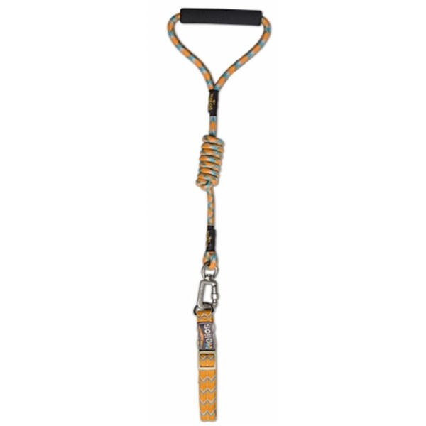 Pamperedpets Dura-Tough Easy Tension 3M Reflective Pet Leash &amp; Collar  Small Orange - PA468485