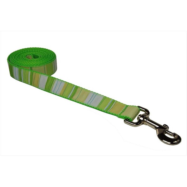 Flyfree STRIPE-GREEN-MULTI3-L 6 ft. Multi Stripe Dog LeashGreen Medium - FL685348