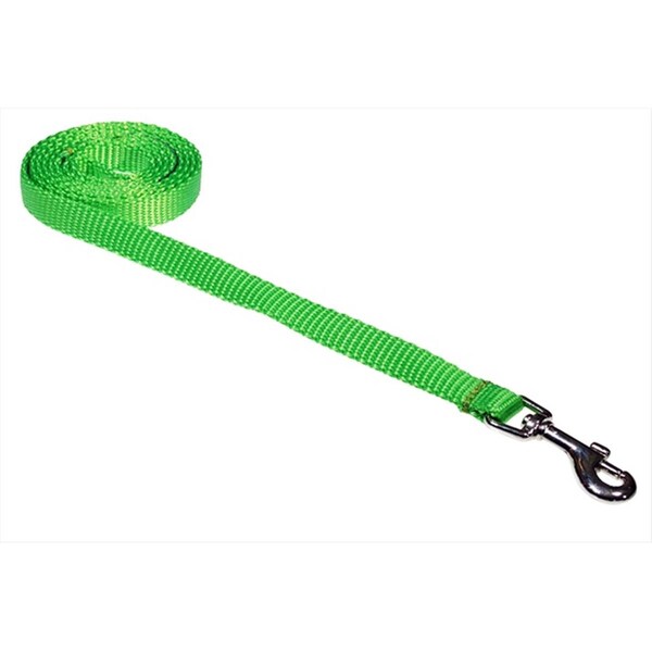 Sassy Dog Wear 4 ft. Nylon Webbing Dog Leash- Neon Green - Extra Small - SOLID NEON GREEN XS-L