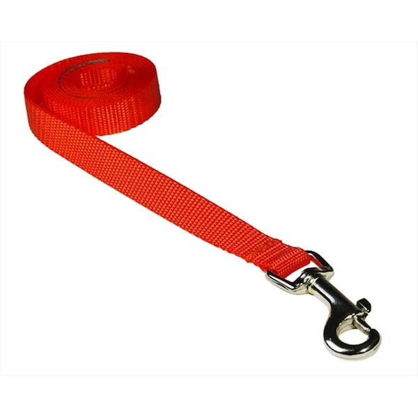 Sassy Dog Wear 4 ft. Nylon Webbing Dog Leash- Neon Orange - Extra Small - SOLID NEON ORANGE XS-L
