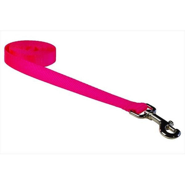 Sassy Dog Wear Sassy Dog Wear SOLID NEON PINK MED-L 6 ft. Nylon Webbing Dog Leash; Neon Pink - Medium - SOLID NEON PINK MED-L