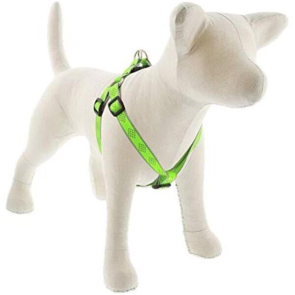 Lupine Pet Lupine 0.75 x 20-30 in. Diamond Dog Harness, Green - 107744