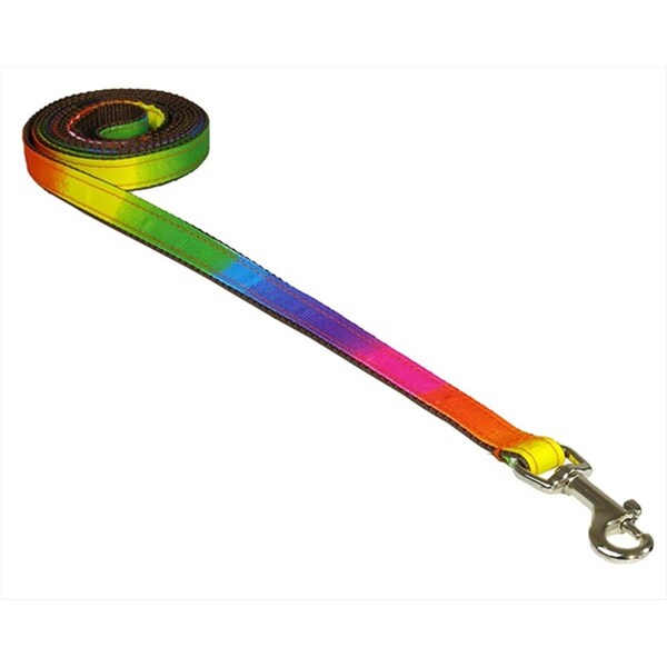 Sassy Dog Wear 4 ft. Dog Leash- Rainbow - Extra Small - RAINBOW1-L