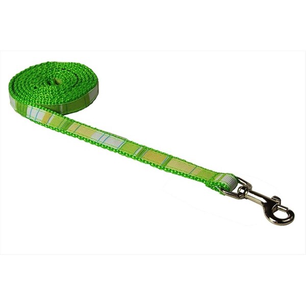 Sassy Dog Wear STRIPE-GREEN-MULTI1-L 4 ft. Multi Stripe Dog Leash- Green - Extra Small - STRIPE-GREEN/MULTI1-L