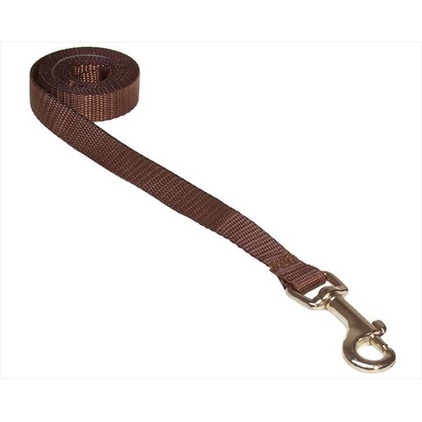 Sassy Dog Wear Sassy Dog Wear SOLID BROWN XS-L 4 ft. Nylon Webbing Dog Leash; Brown - Extra Small - SOLID BROWN XS-L