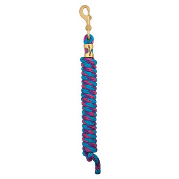 Daretocare 35-2100-B16 0.62 in. x 10 ft. Poly Lead Rope BluePink & Purple - DA1232958