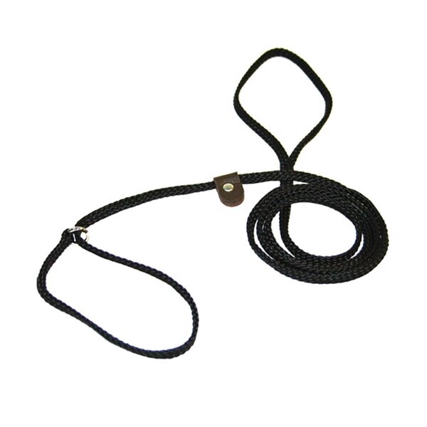 Domesticated Supplies 3647-RB Flat Braided Rope Lead with Slip, Raspberry & Blue - 0.25 in. - DO3000252