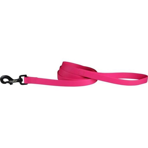Tandy Leather Factory Leather Brothers  0.75 in. x 6 ft. Carnival Biothane Dog Lead, Raspberry - 19148-RB
