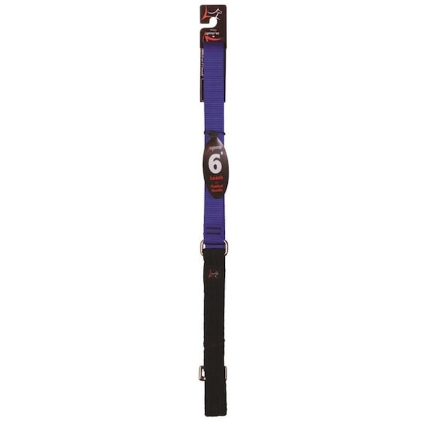 Lupine Pet Lupine 17559 1 in. x 6 ft. Dog Leash, Blue - 2122380