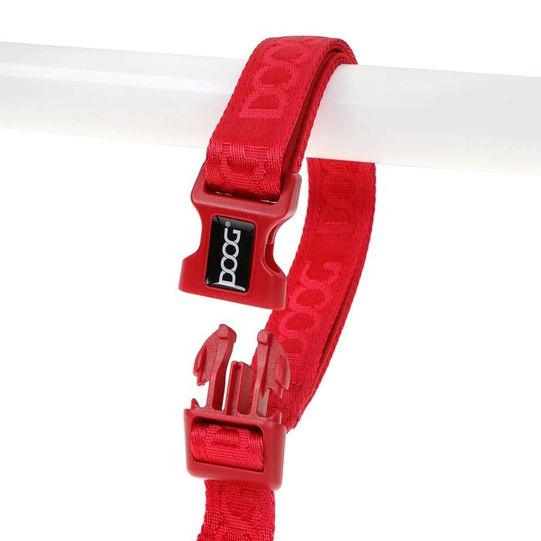 Doog Neoprene Dog Leash, XL - NSLEAD04-XL