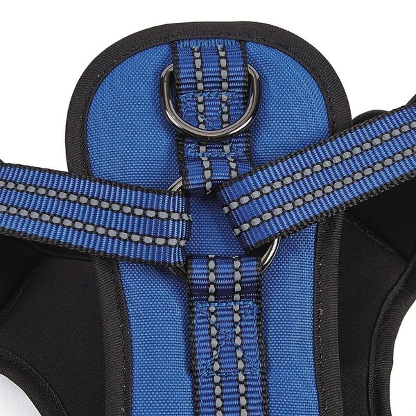 Guardian Gear Reflective Harness, 16 to 25 in, Fastening Method: O-Ring Strap, Nylon Harness - ZA0031 12 19
