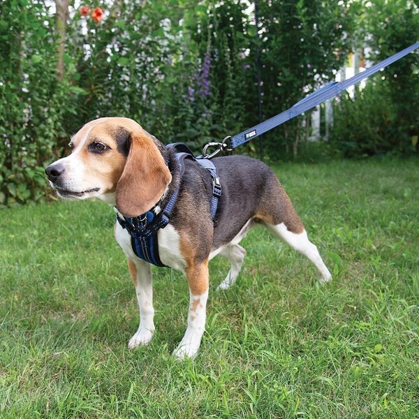 Guardian Gear Reflective Harness, 16 to 25 in, Fastening Method: O-Ring Strap, Nylon Harness - ZA0031 12 19