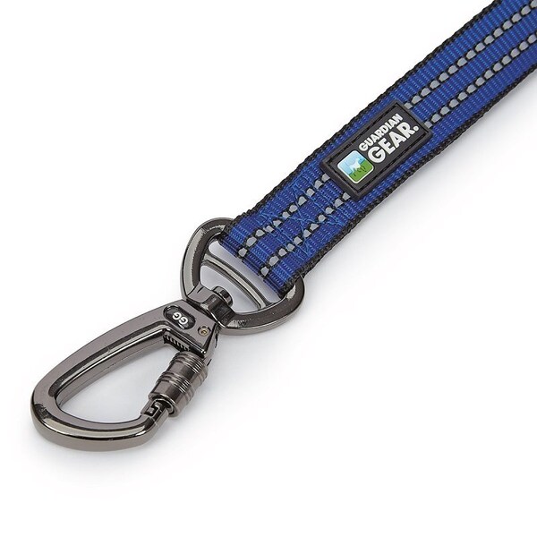 Guardian Gear Reflective Dog Leash, 6 ft L, Nylon Line, Blue, Fastening Method: Snap - ZA5172 06 19