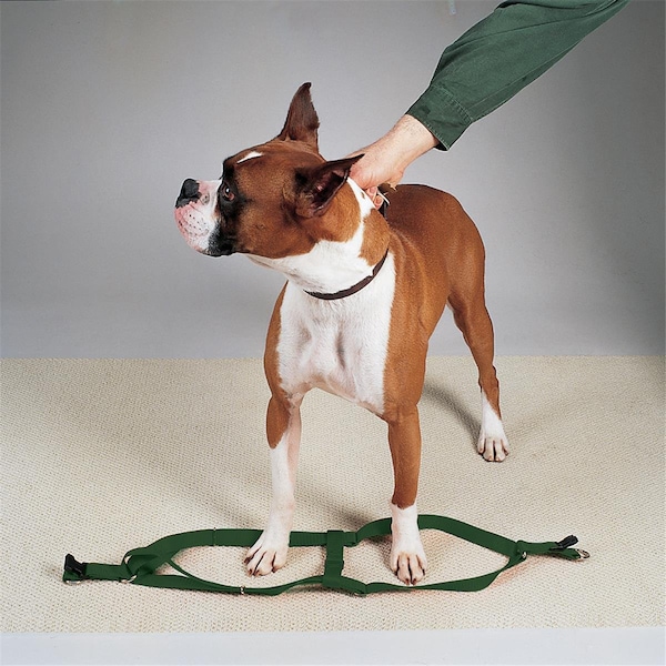Casual Canine 15-25 in. Nylon 2 Step Dog HarnessGreen - ZA817 15 45
