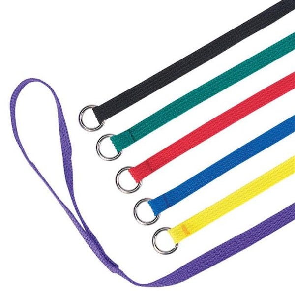 Guardian Survival Gear Guardian Gear TP88992 Kennel Leads 6 Ft 6-Pk Asst Colors - TP88992
