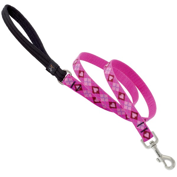Lupine LupinePet Original Designs Multicolor Puppy Love Nylon Dog Leash - 14209