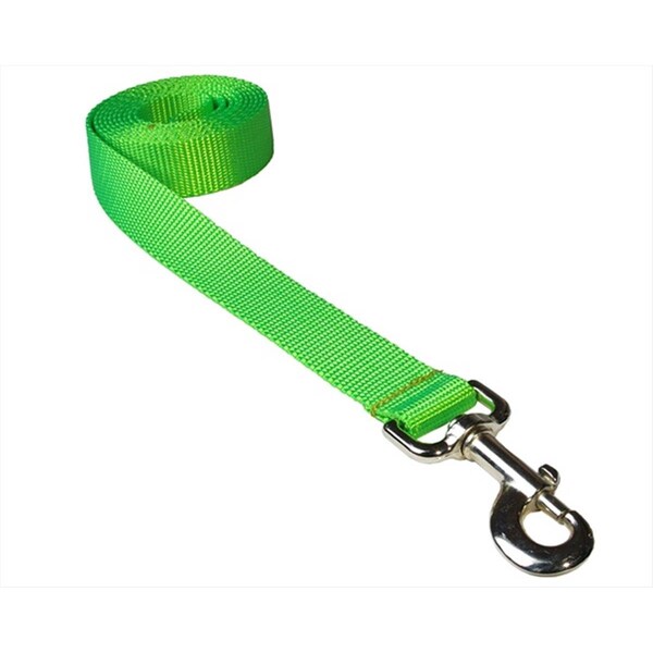 Sassy Dog Wear 6 ft. Nylon Webbing Dog Leash- Neon Green - Large - SOLID NEON GREEN LG-L