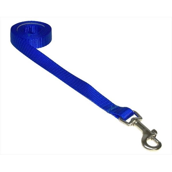 Sassy Dog Wear Sassy Dog Wear SOLID BLUE XS-L 4 ft. Nylon Webbing Dog Leash; Blue - Extra Small - SOLID BLUE XS-L