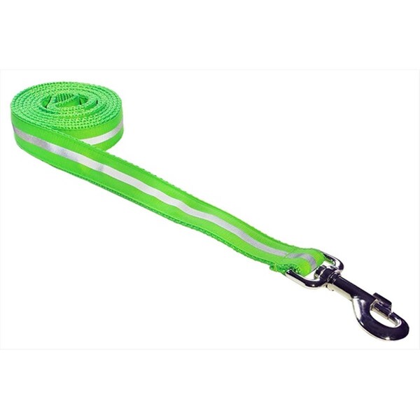 Sassy Dog Wear 6 ft. Reflective Dog Leash- Green - Medium - REFLECTIVE - GREEN2-L