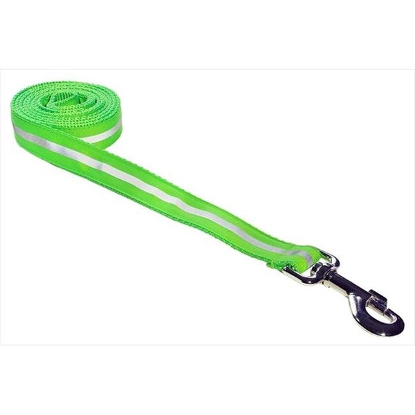 Sassy Dog Wear Sassy Dog Wear REFLECTIVE - GREEN1-L 4 ft. Reflective Dog Leash; Green - Small - REFLECTIVE - GREEN1-L