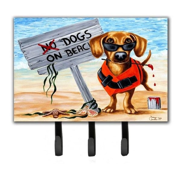 Carolines Treasures Carolines Treasures AMB1341TH68 The Dog Beach Dachshund Leash or Key Holder - AMB1341TH68
