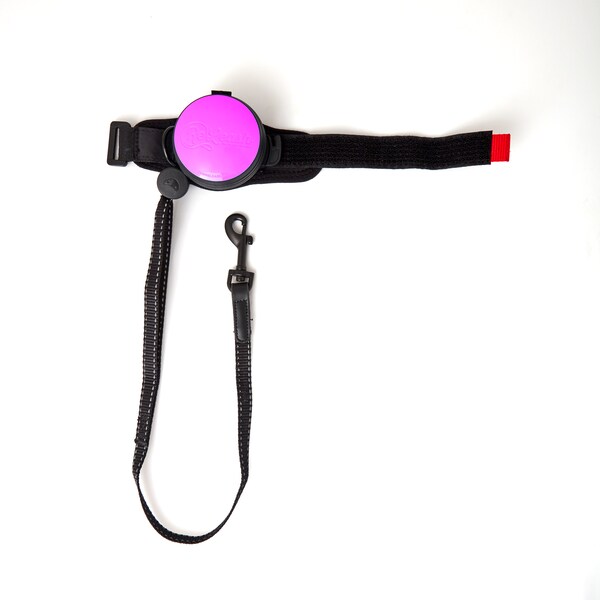 Releash ReLeash Hands Free Dog Leash, 9-Foot Cord, Pink - RL-O-PINK