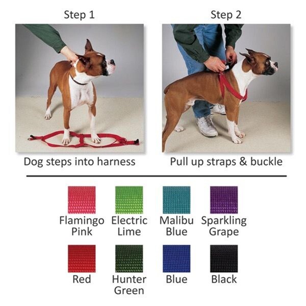 Casual Canine 15-25 in. Nylon 2 Step HarnessPurple - ZA807 15 90